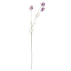Purple Meadow Flower