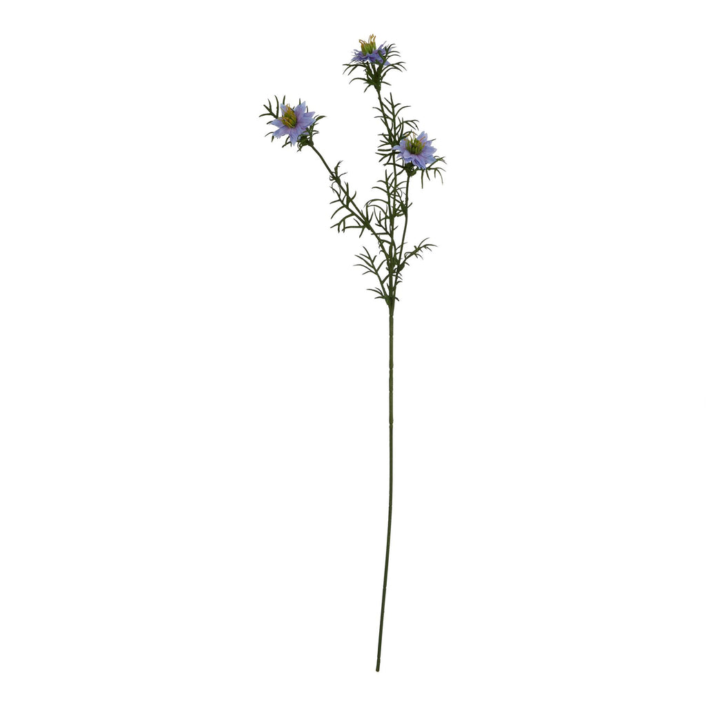 Purple Nigella Love In A Mist