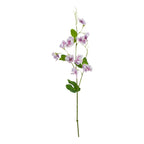 Purple Sweetpea Stem
