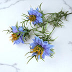 Purple Nigella Love In A Mist