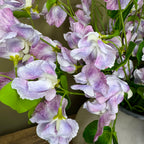 Close-up of purple sweet pea flowers with green leaves on a neutral background