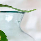Recycled Large Glass Vase