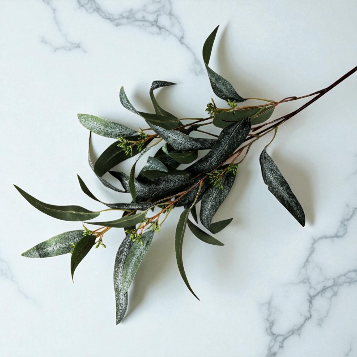 Seeded Eucalyptus Spray