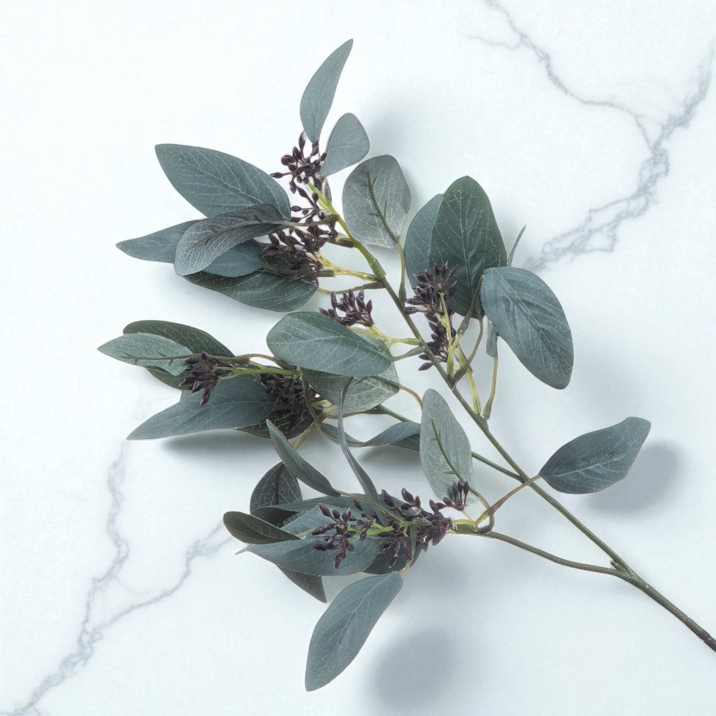Seeded Eucalyptus Stem
