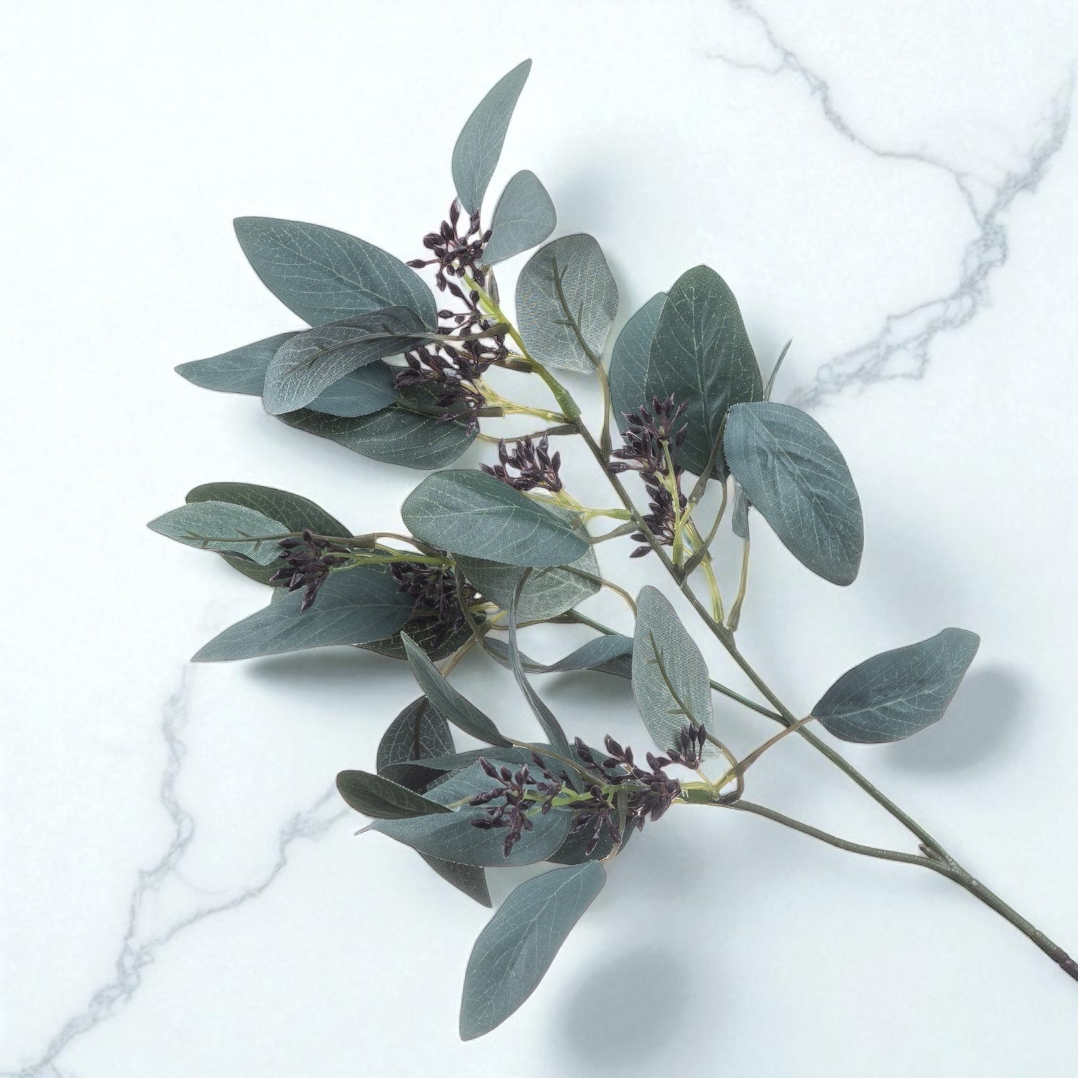 Seeded Eucalyptus Stem