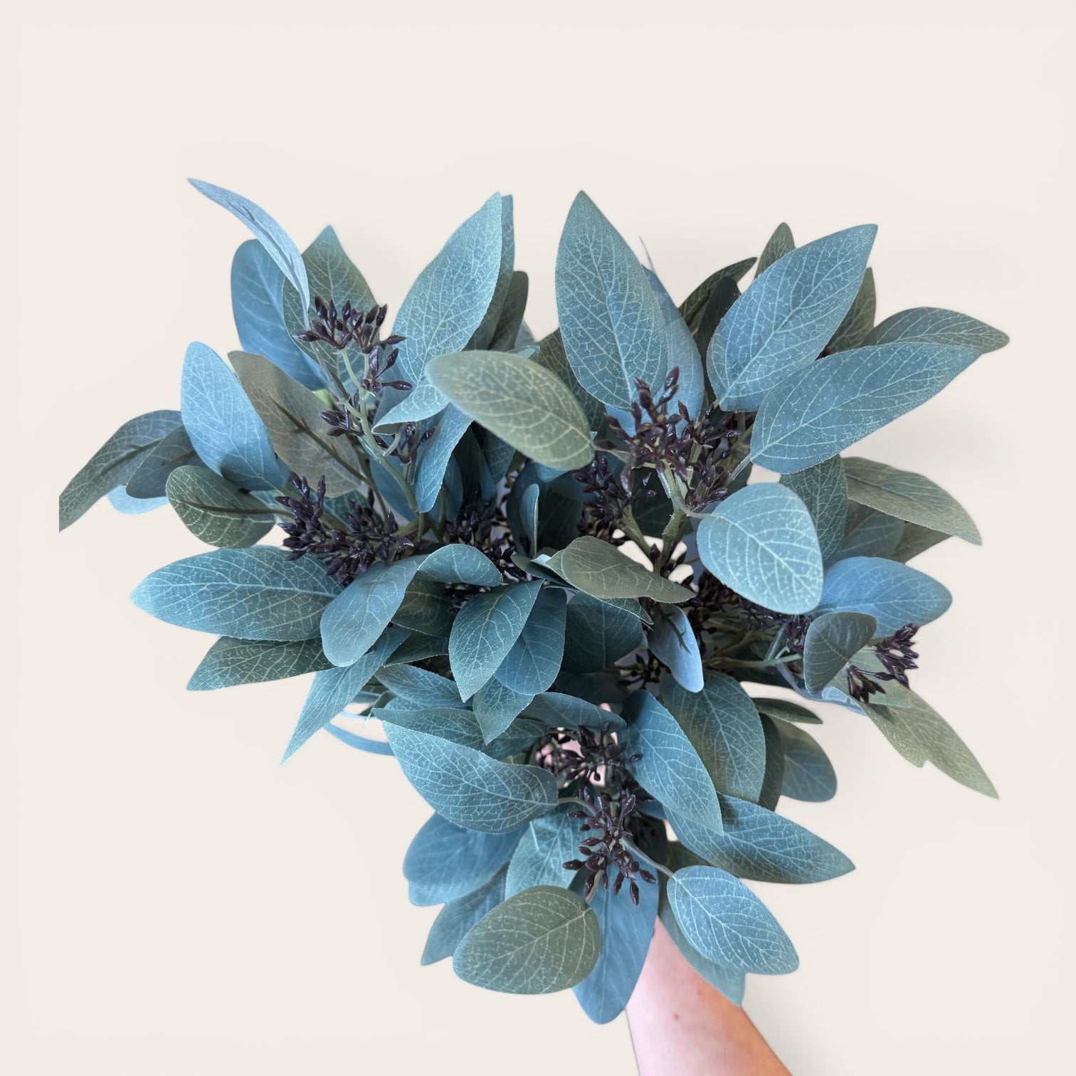 Seeded Eucalyptus Stem