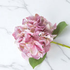 Shabby Pink Hydrangea