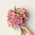 Shabby Pink Hydrangea