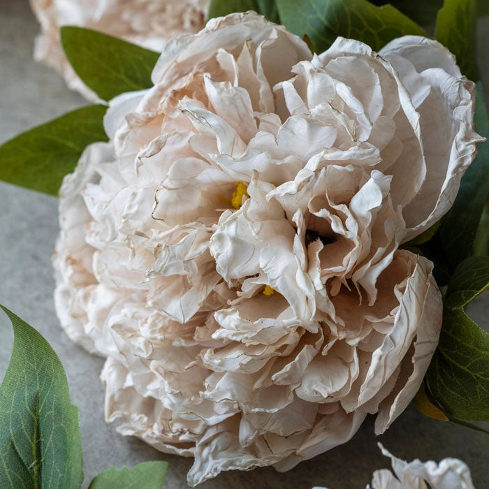 Soft Cream Peony Stem