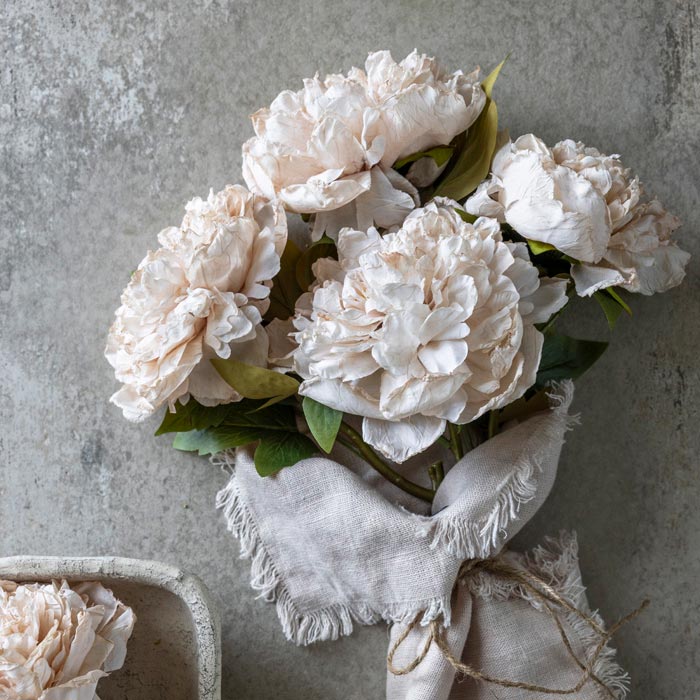 Soft Cream Peony Stem