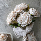 Soft Cream Peony Stem