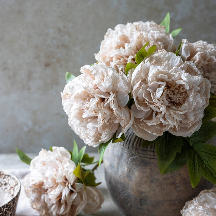 Soft Cream Peony Stem