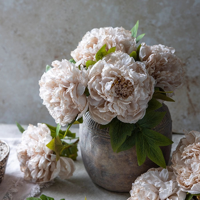 Soft Cream Peony Stem