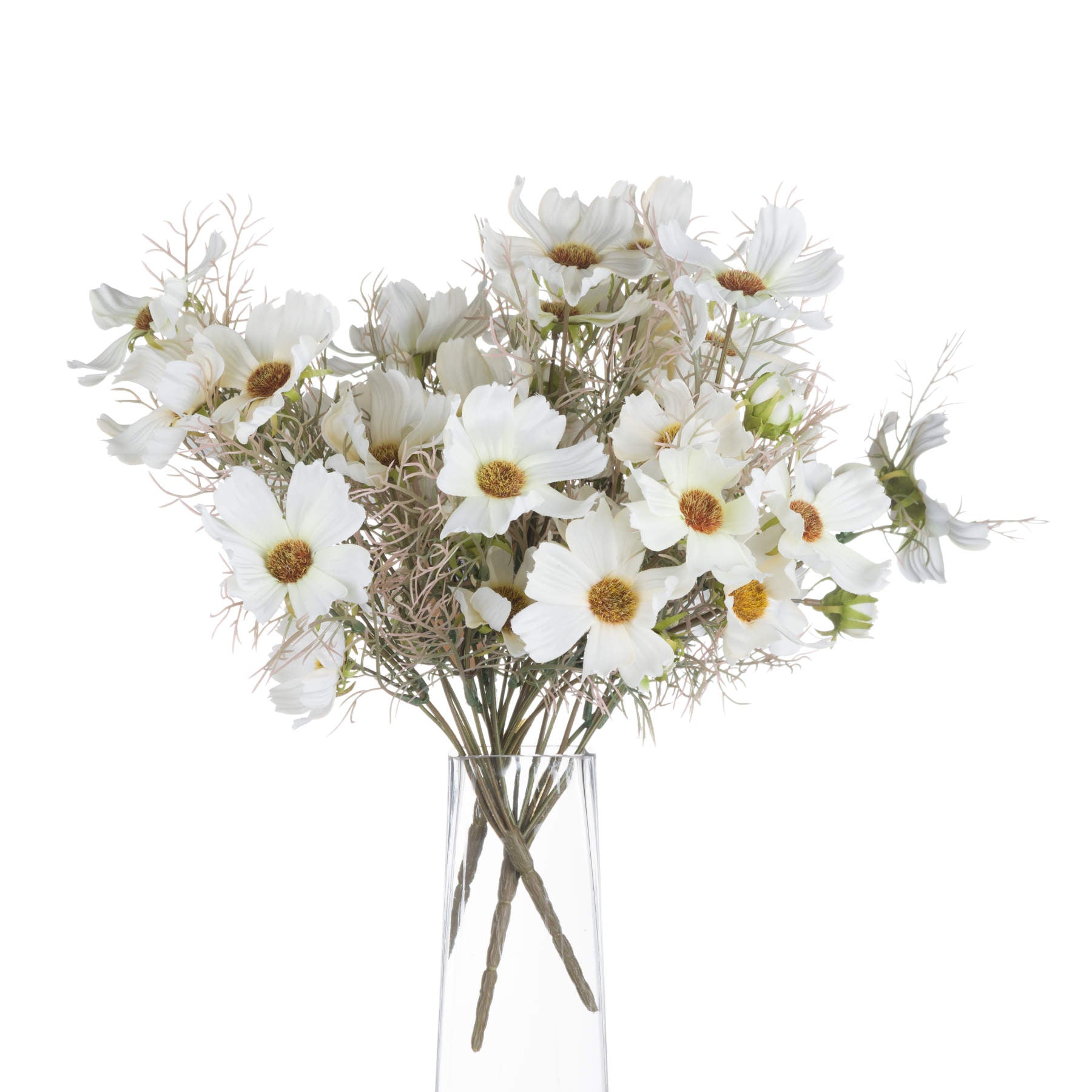 Soft Cream Cosmos Spray