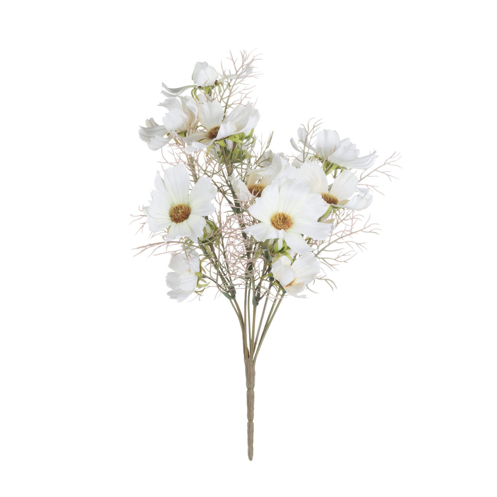 Soft Cream Cosmos Spray