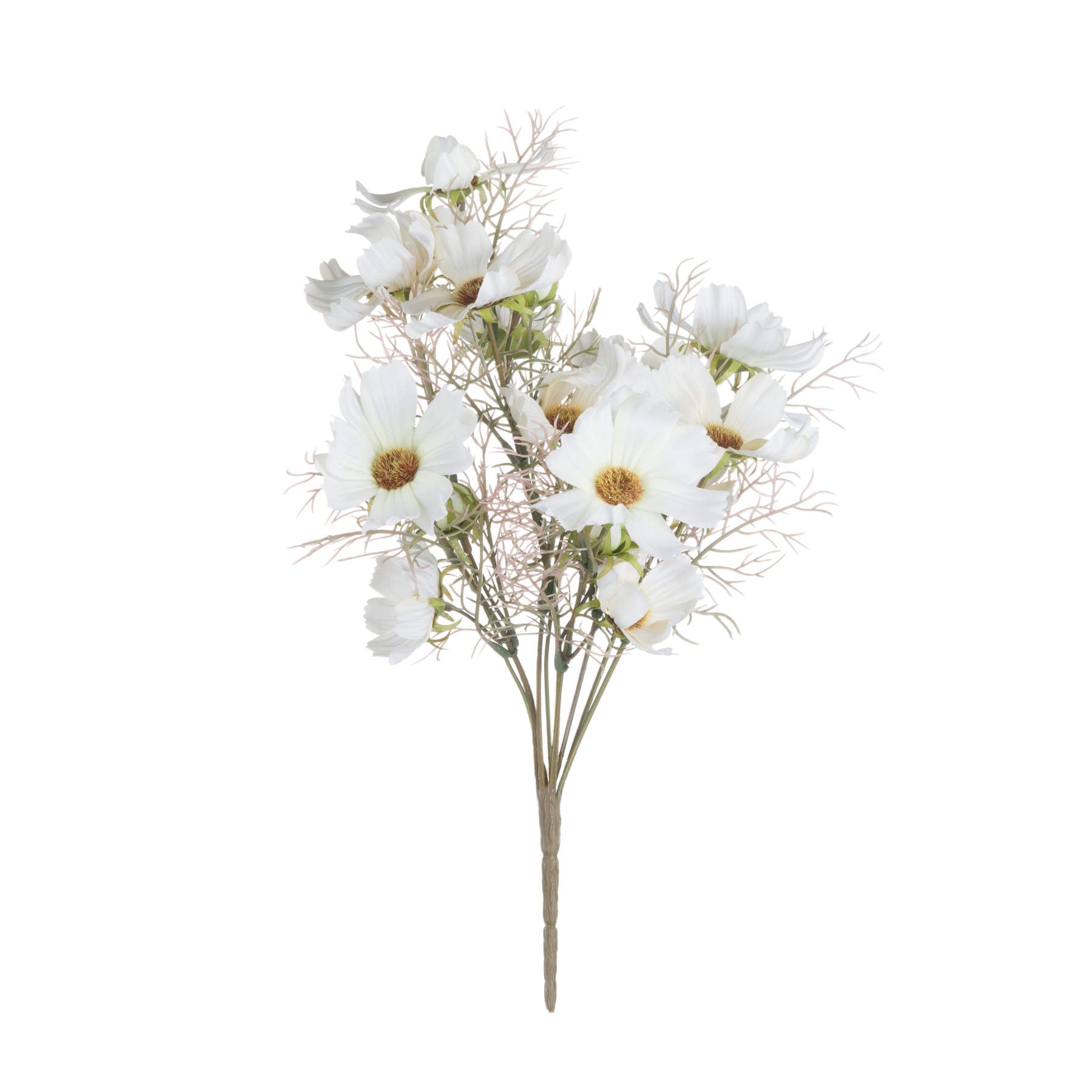 Soft Cream Cosmos Spray