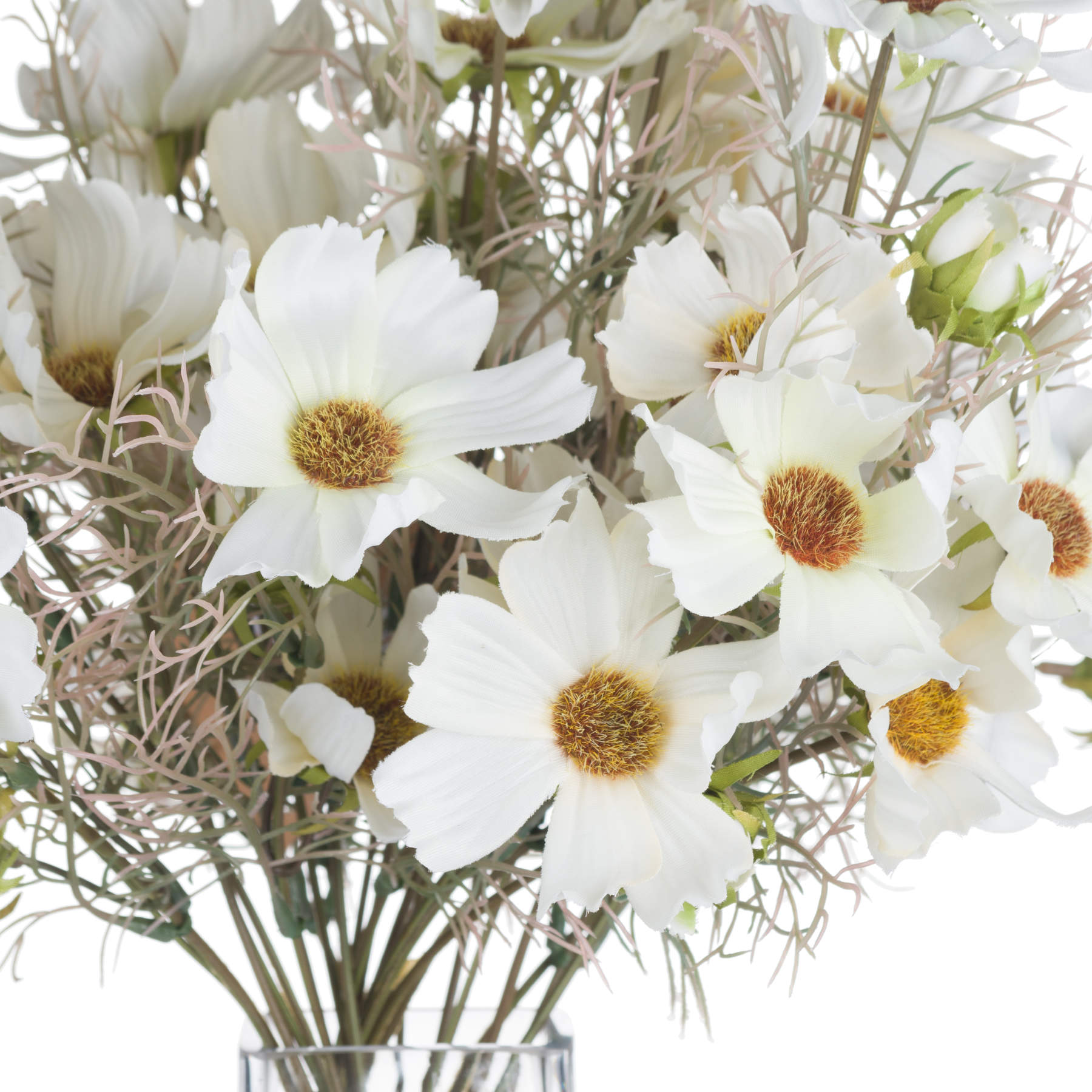 Soft Cream Cosmos Spray