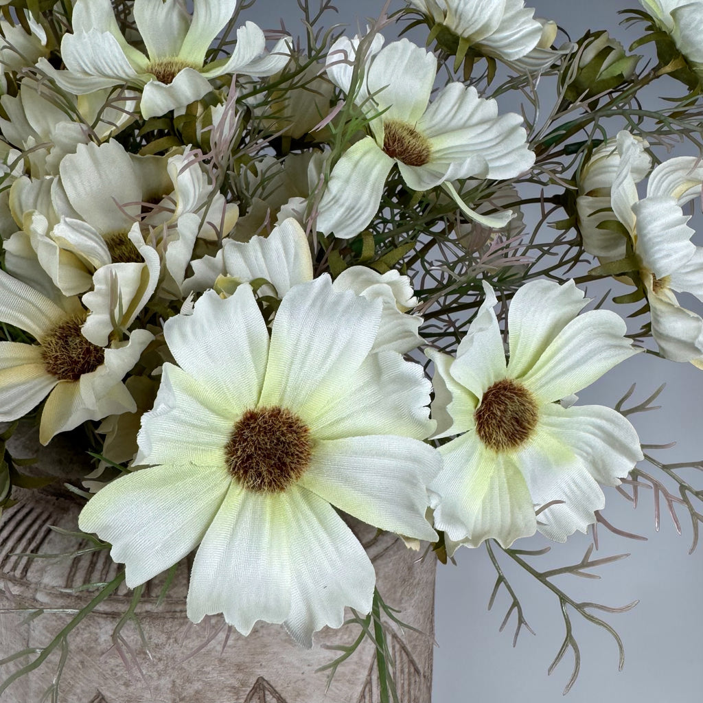 Soft Cream Cosmos Spray