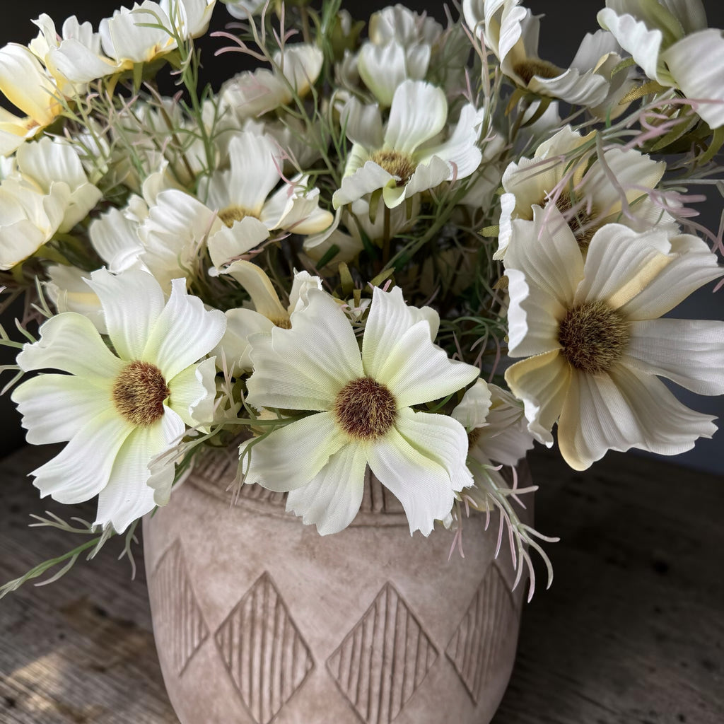 Soft Cream Cosmos Spray