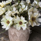 Soft Cream Cosmos Spray