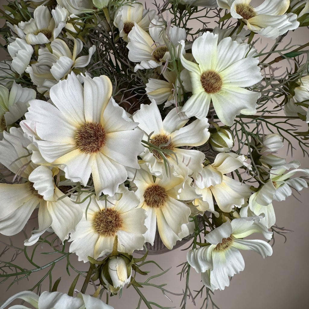 Soft Cream Cosmos Spray