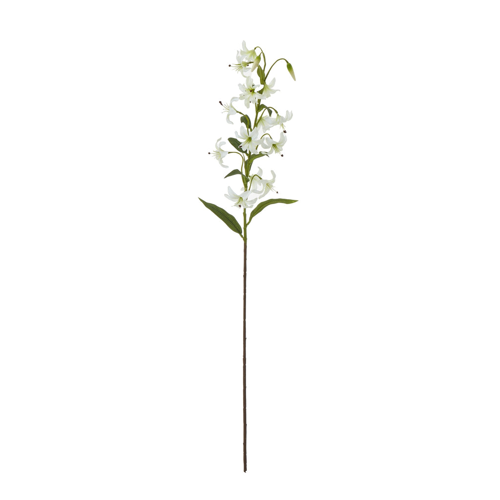 Turks Cap Green Lily Stem