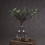 Viburnum Berry Stem