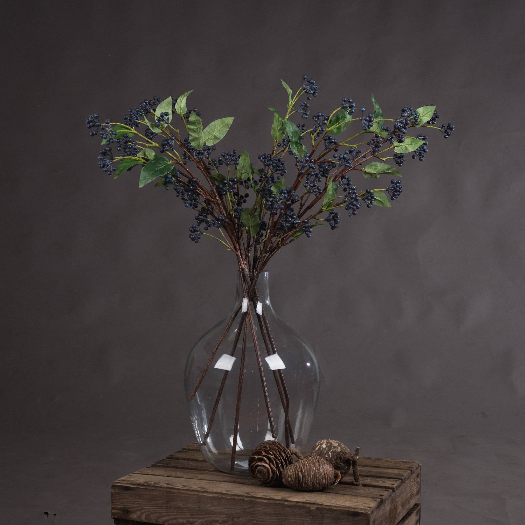 Viburnum Berry Stem