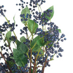 Viburnum Berry Stem