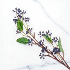 Viburnum Berry Stem
