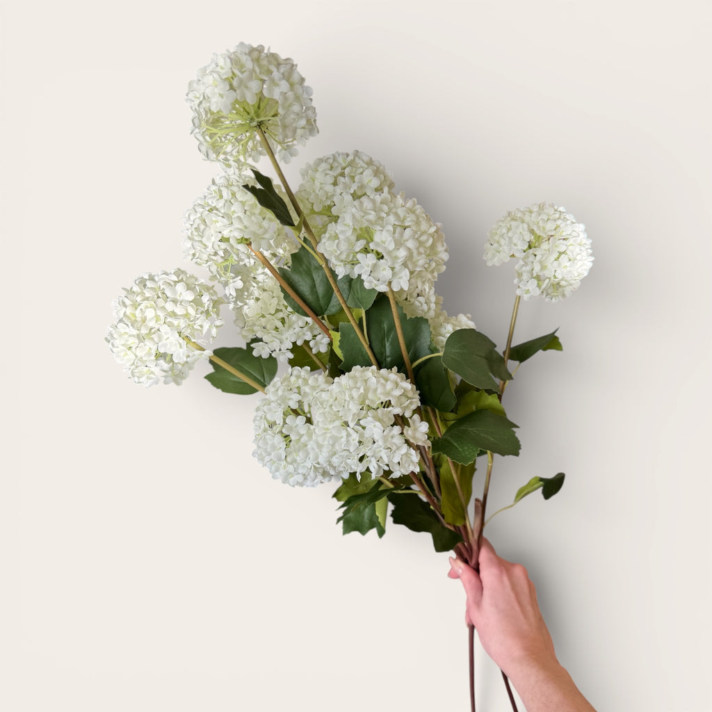 Viburnum Opulus