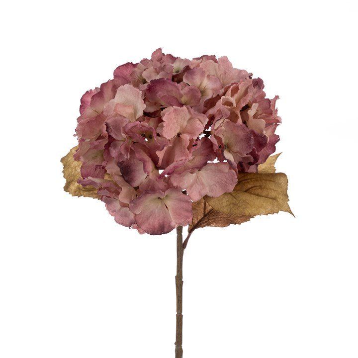Vintage Pink Hydrangea Stem