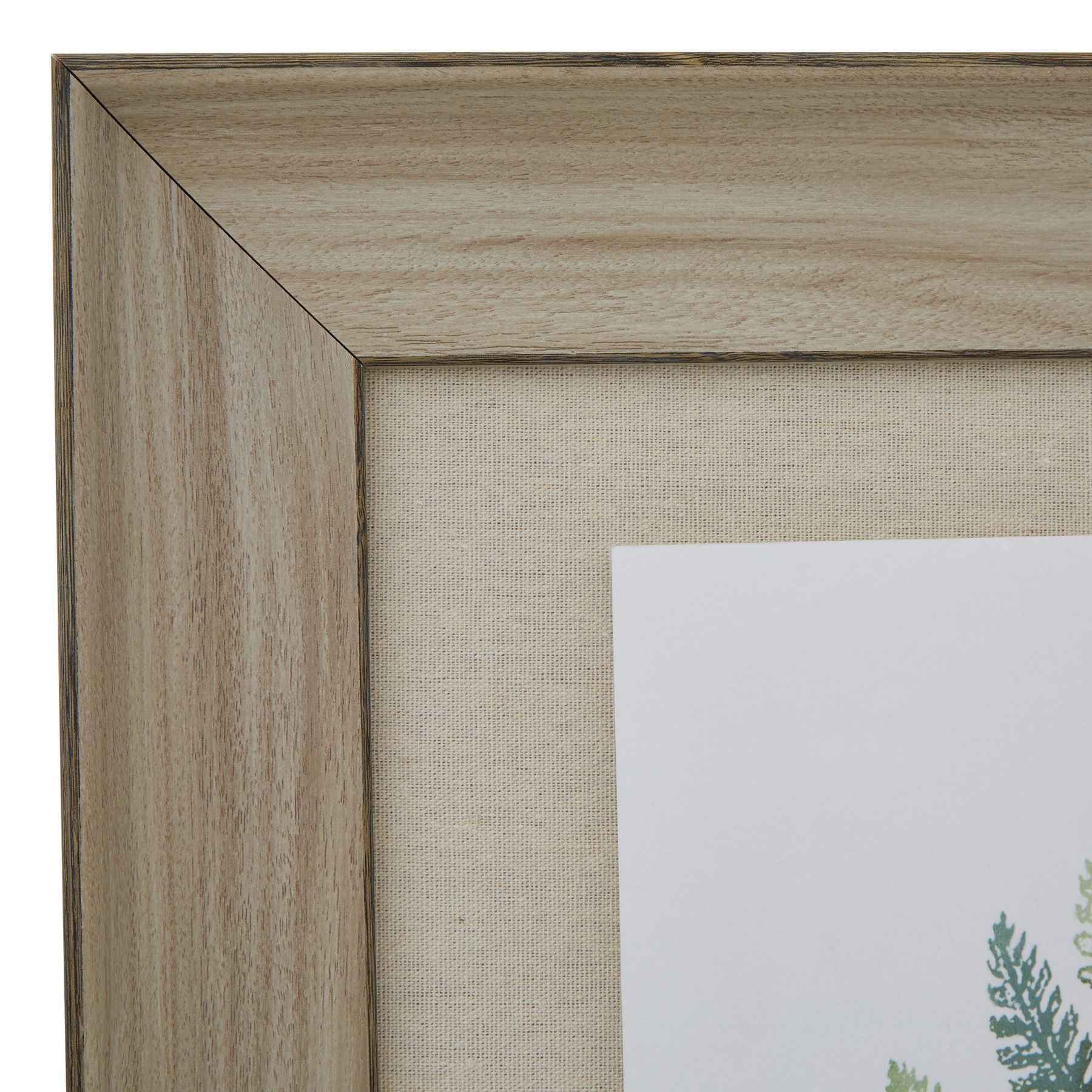 Watercolour Fern Duo Print in Washed Wood Frame