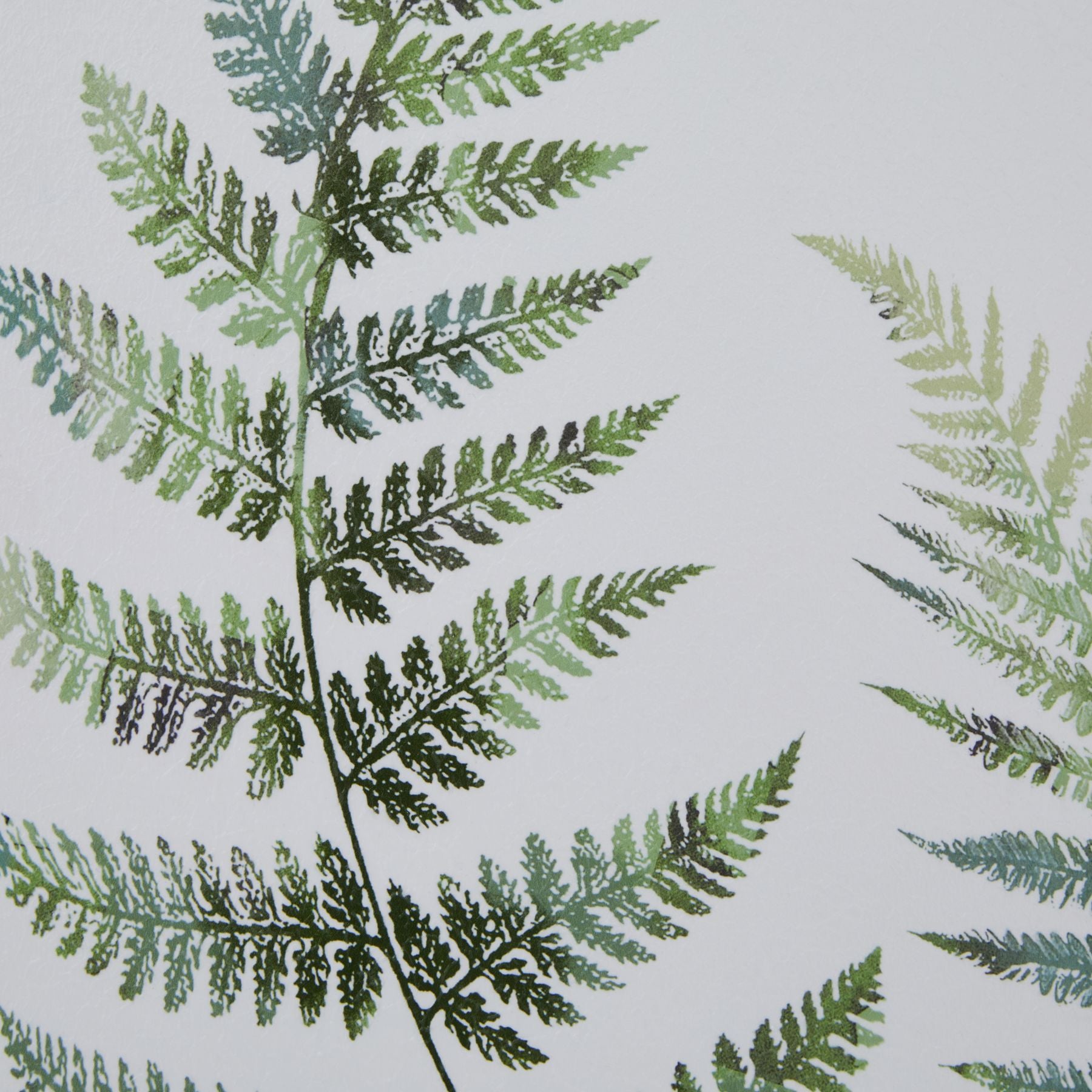 Watercolour Fern Duo Print in Washed Wood Frame