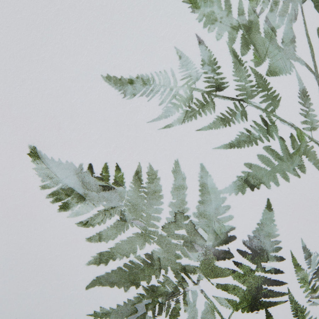 Watercolour Bracken Fern Print in Washed Wood Frame