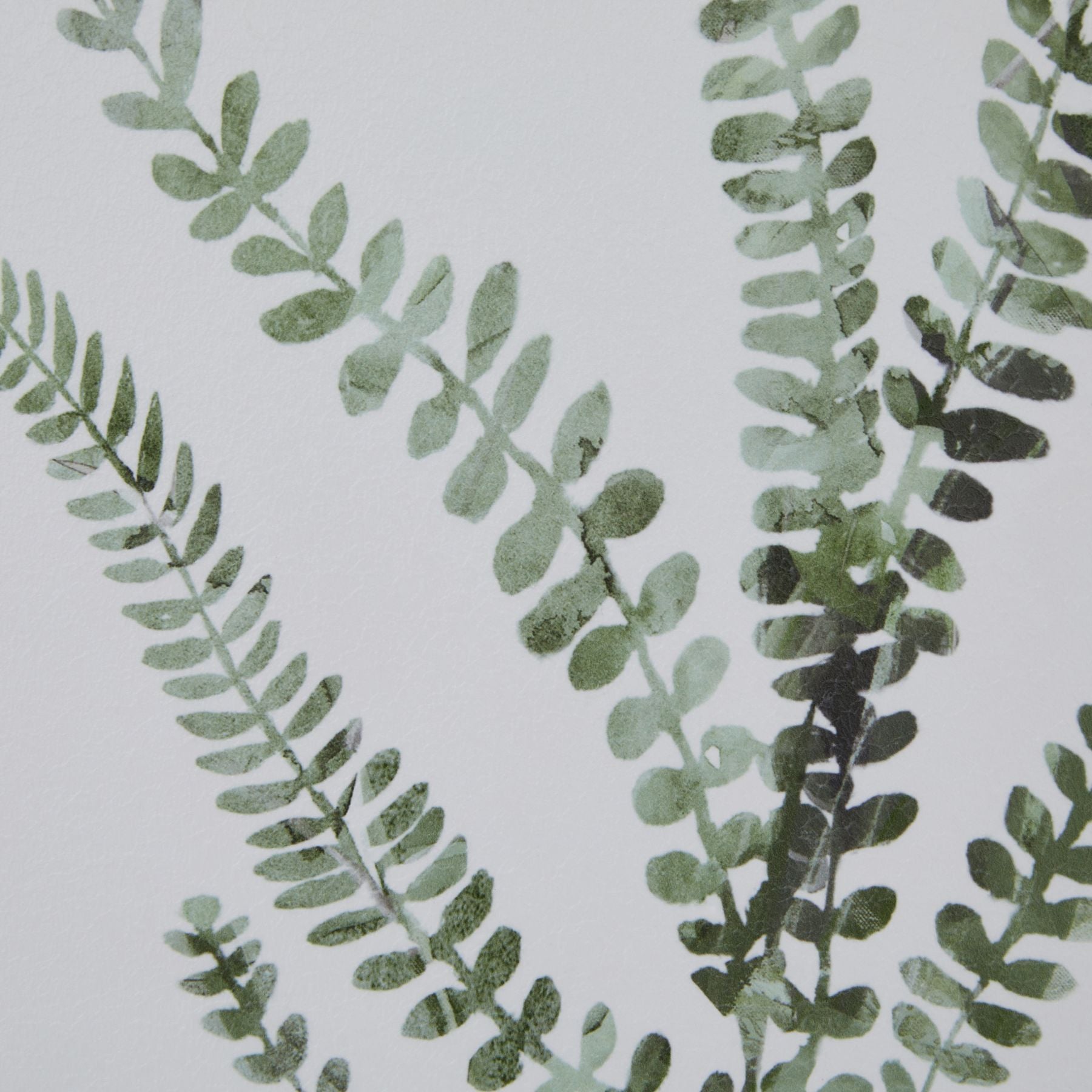 Watercolour Delicate Fern Print in Washed Wood Frame