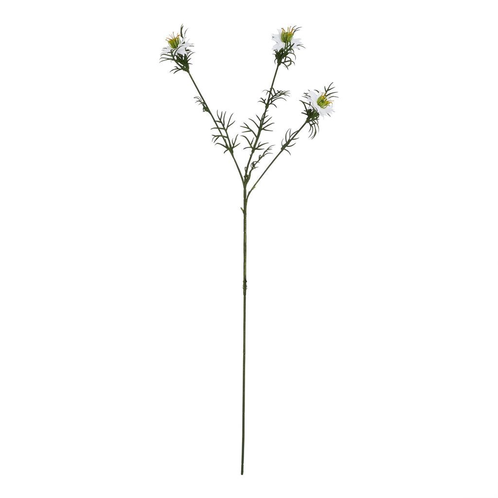 White Nigella Love In A Mist