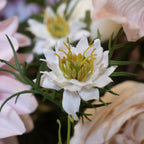 White Nigella Love In A Mist