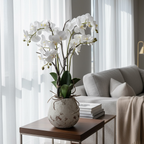 White Orchid in Stone Pot