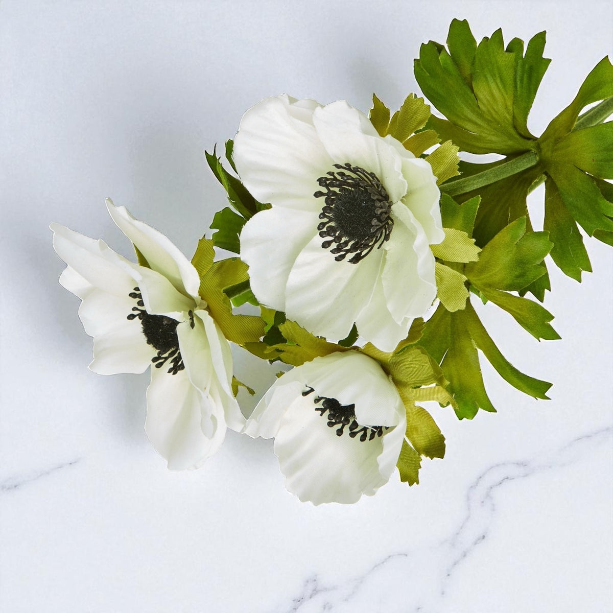 White Anemone Spray