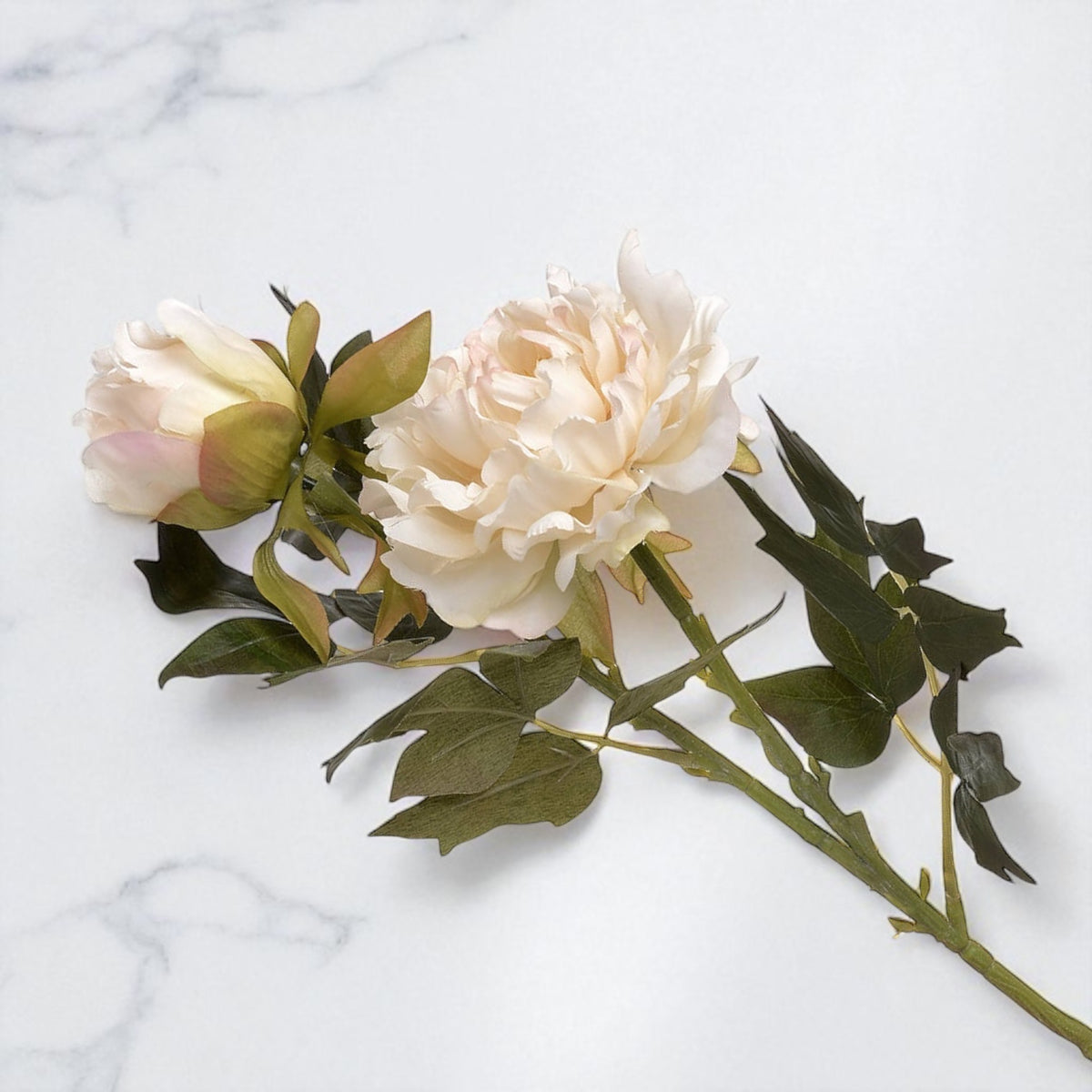 White Fashion Peony
