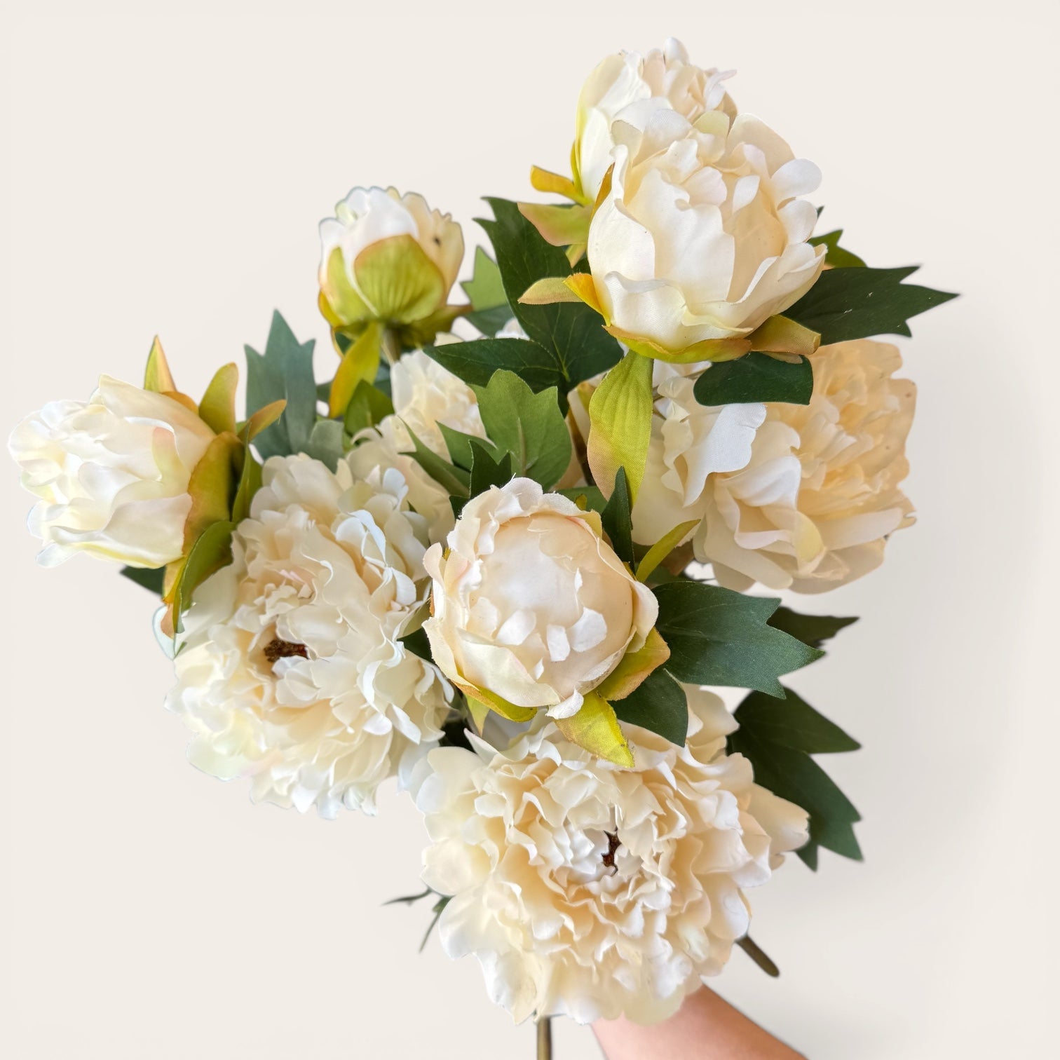 White Fashion Peony