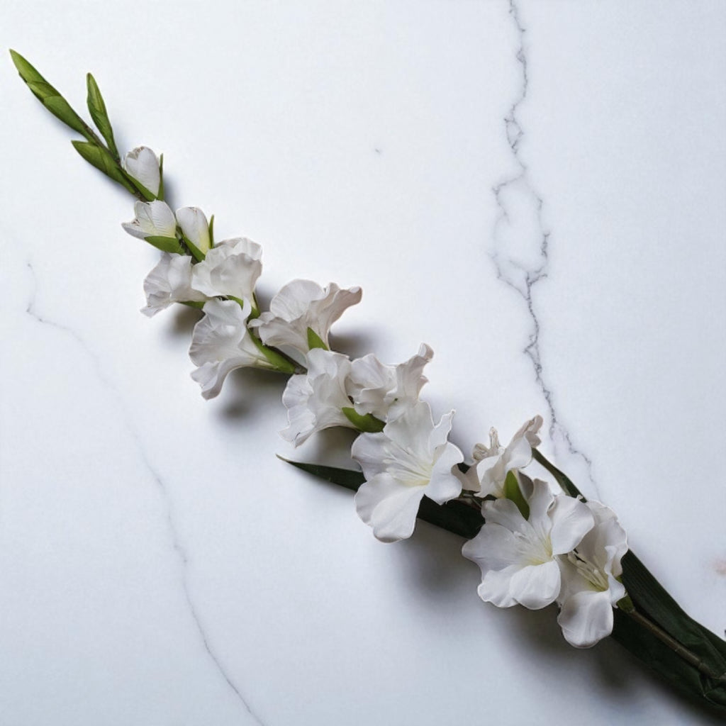 White Gladioli Stem