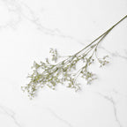 White Gypsophila Spray