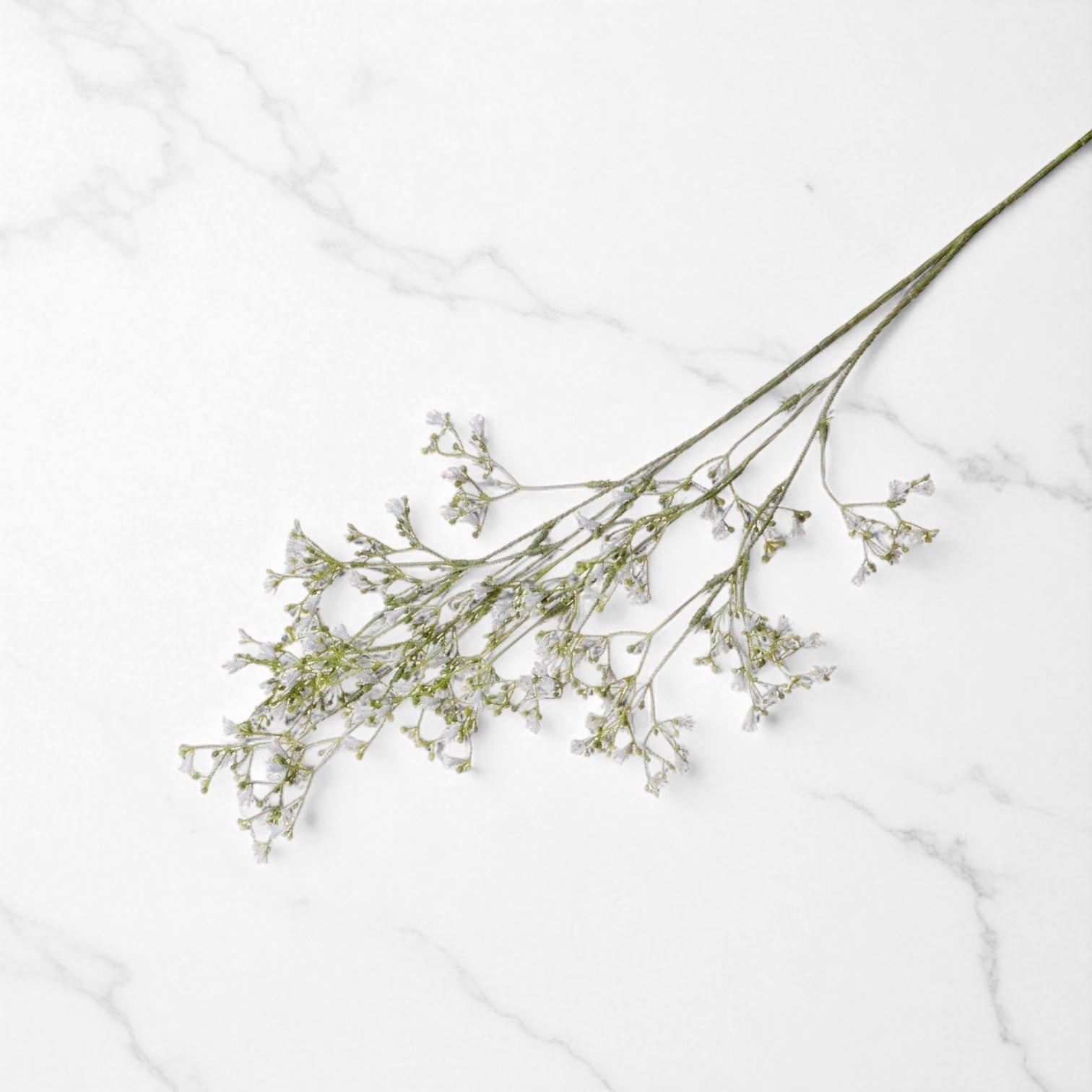 White Gypsophila Spray