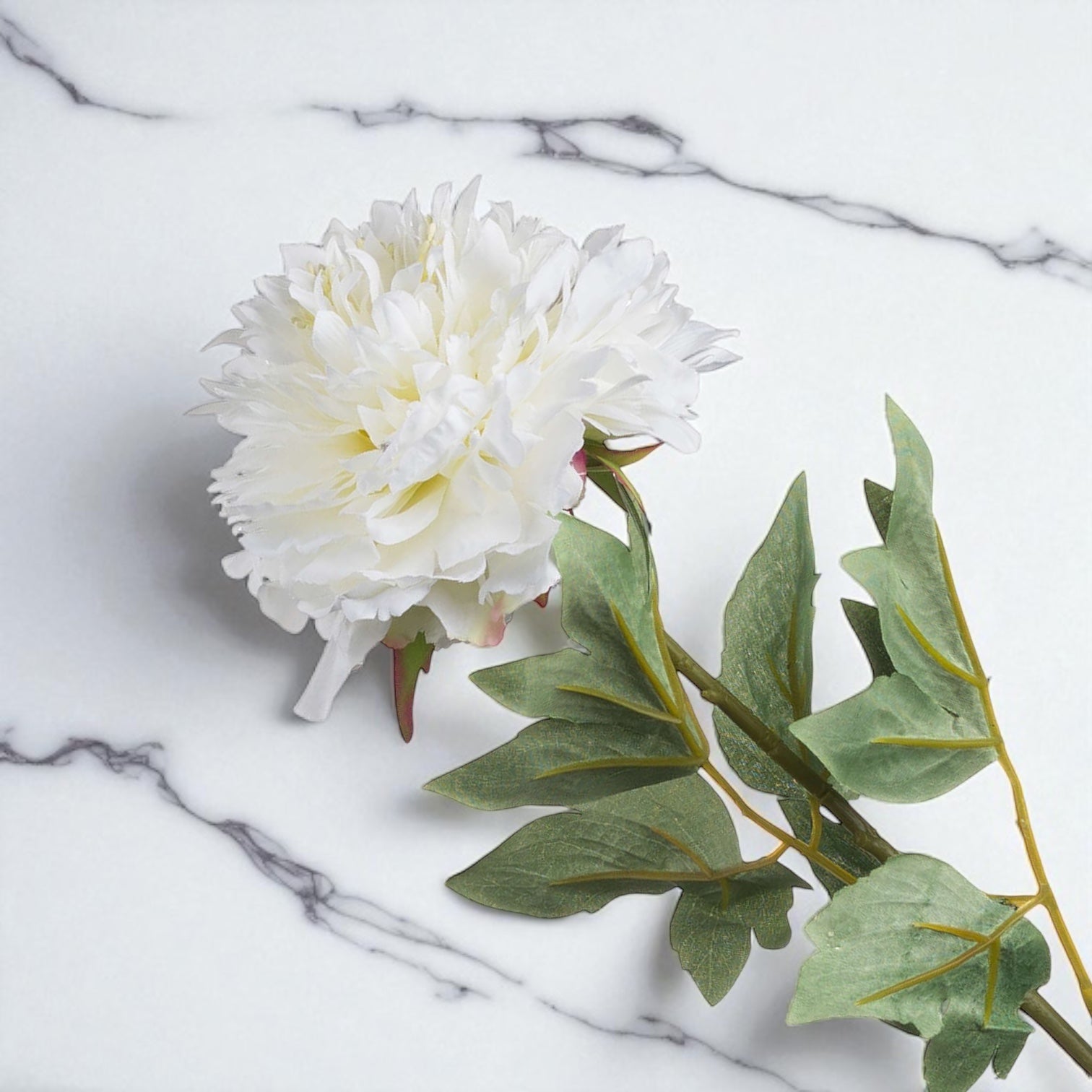Classic White Peony