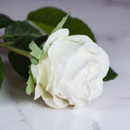 Traditional White Garden Rose